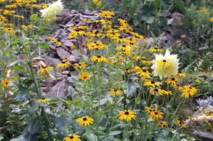 2 Roger Ave, Wanaque, NJ 07420 - Photo 20