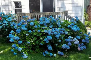 995 Grace Terrace, Teaneck Township, NJ 07666 - Photo 16