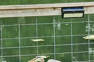 131 Lakeside Blvd, Oakland, NJ 07436 - Photo 36