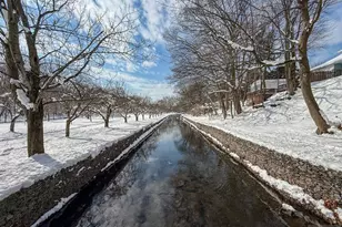 612 Passaic Ave, Nutley, NJ 07110 - Photo 34