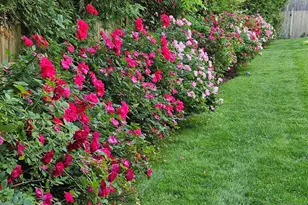 21 Ridge Rd, Norwood, NJ 07648 - Photo 42