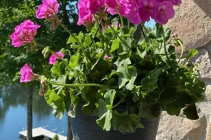 10 Hemlock Ave, Andover Township, NJ 07860 - Photo 48