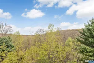 432 Rock Ridge Rd, Jefferson Township, NJ 07849 - Photo 34