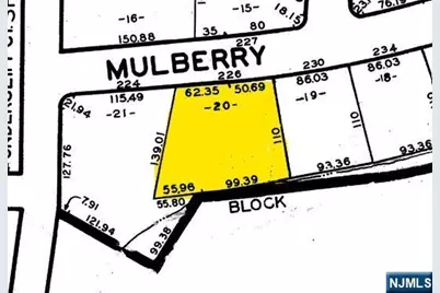 226 Mulberry Place, Ridgewood, NJ 07450 - Photo 46