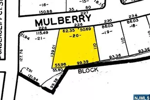 226 Mulberry Pl, Ridgewood, NJ 07450 - Photo 46