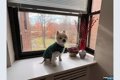 2329 Hudson Terrace C3 #C3, Fort Lee, NJ 07024 - Photo 22