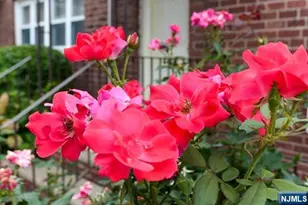 395 Park Street 395G, Hackensack, NJ 07601 - Photo 4