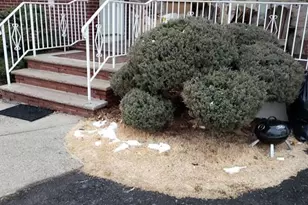 539 Market Street 2, Elmwood Park, NJ 07407 - Photo 2