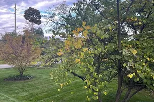 300 Harristown Road 1st Floor, Glen Rock, NJ 07452 - Photo 16