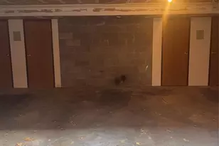 206 Broad Street 10, Bloomfield, NJ 07003 - Photo 14