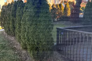 318 Central Blvd A, Palisades Park, NJ 07650 - Photo 14