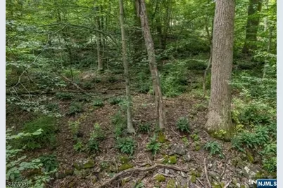 Sweet Hollow Road, Holland Township, NJ 08848 - Photo 14