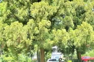 100 Huguenot Ave 6B, Englewood, NJ 07631 - Photo 18