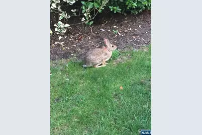 280-320 Oak Street 284D #284D, Ridgewood, NJ 07450 - Photo 22