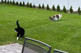 478 Luhmann Dr, New Milford, NJ 07646 - Photo 42