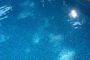 74 Avenue E, Lodi, NJ 07644 - Photo 34