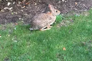 280-320 Oak Street 304C, Ridgewood, NJ 07450 - Photo 18