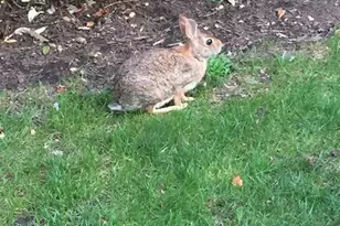 280-320 Oak Street 290Tl, Ridgewood, NJ 07450 - Photo 14