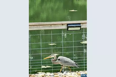 131 Lakeside Boulevard, Oakland, NJ 07436 - Photo 36