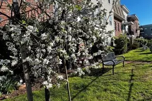 1002 Unicorn Way F002, Clifton, NJ 07011 - Photo 16