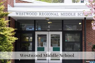 17 St Nicholas Ave, Westwood, NJ 07675 - Photo 38