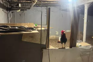 57 8th Ave, Passaic, NJ 07055 - Photo 8