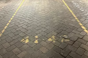 65 Fairview Street 3D, Palisades Park, NJ 07650 - Photo 18