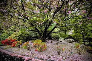 46 Overlook Rd, Alpine, NJ 07620 - Photo 18