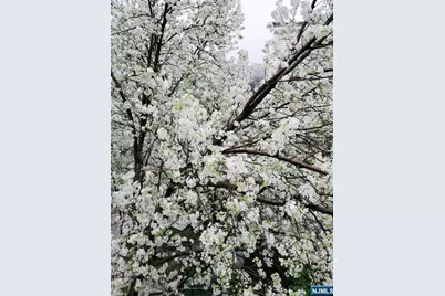 337 The Promenade 337 #337, Edgewater, NJ 07020 - Photo 24