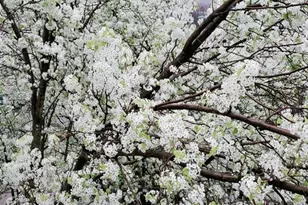 337 The Promenade 337, Edgewater, NJ 07020 - Photo 24