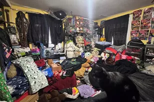 253 Crystal St, North Arlington, NJ 07031 - Photo 32