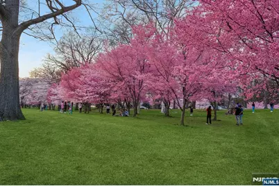 363-377 Mt Prospect Avenue 6Dw #6DW, Newark, NJ 07104 - Photo 34