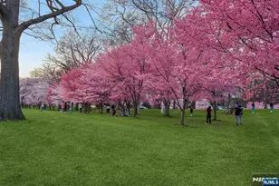 363-377 Mt Prospect Ave 6Dw, Newark, NJ 07104 - Photo 34