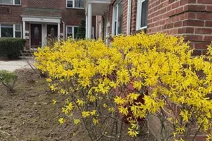 180 Hillside Ave K1, Leonia, NJ 07605 - Photo 2