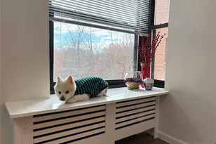 2329 Hudson Terrace C3, Fort Lee, NJ 07024 - Photo 20