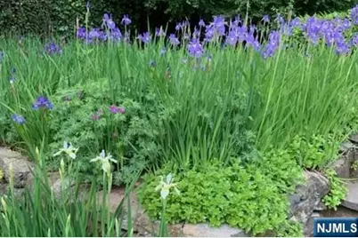 716 Morningside Road, Ridgewood, NJ 07450 - Photo 36