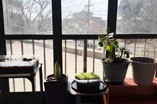 300 Winston L1, Cliffside Park, NJ 07010 - Photo 6