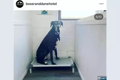 290 River Road, North Arlington, NJ 07031 - Photo 10