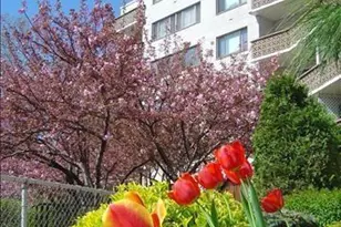 1375 River Road 2B, Edgewater, NJ 07020 - Photo 30