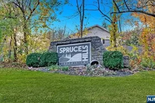 905 Spruce Hills Dr 905, Glen Gardner, NJ OTHER - Photo 2