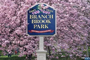 375 Mount Prospect 7De, Newark, NJ 07104 - Photo 26