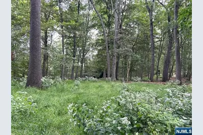 440 Cedar Lane, River Vale Township, NJ 07675 - Photo 2