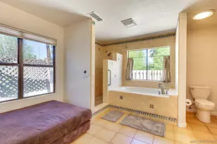 438 De Anza Spur, Borrego Springs, CA 92004 - Photo 66