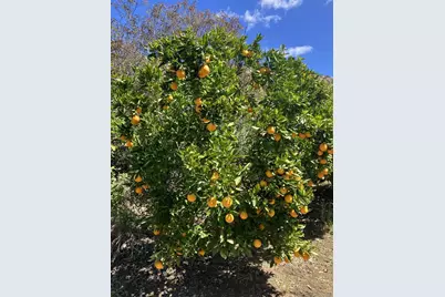  1088 Deer Springs Rd, San Marcos, CA 92069 - Photo 38