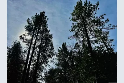  Lot 8 Saunders Meadow Rd #8, Idyllwild, CA 92549 - Photo 6