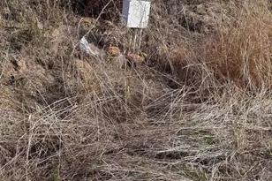 13903 Wildcat Canyon Rd, Lakeside, CA 92040 - Photo 32