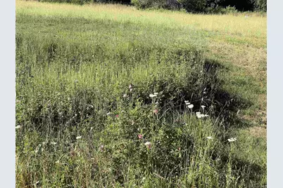  5750 Forest Meadows #01, Julian, CA 92036 - Photo 32