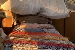 25675 Potrero Park Dr, Potrero, CA 91963 - Photo 42