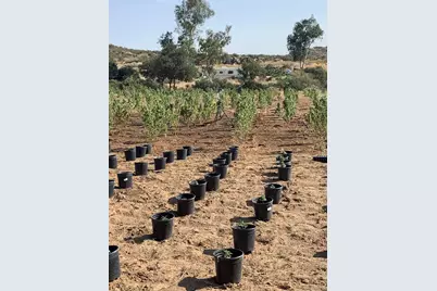  25675 Potrero Park Dr, Potrero, CA 91963 - Photo 48