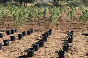 25675 Potrero Park Dr, Potrero, CA 91963 - Photo 48